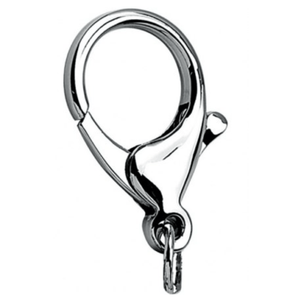 carabiner with ring
