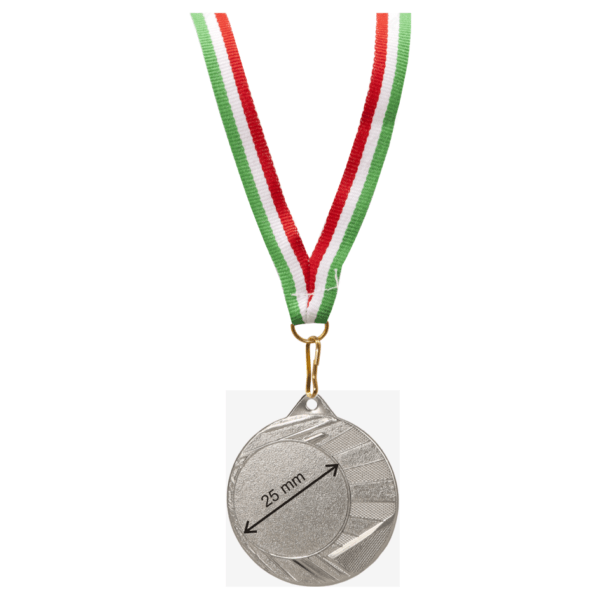 Silver medal diameter 50 mm in front of insert diameter 40 mm